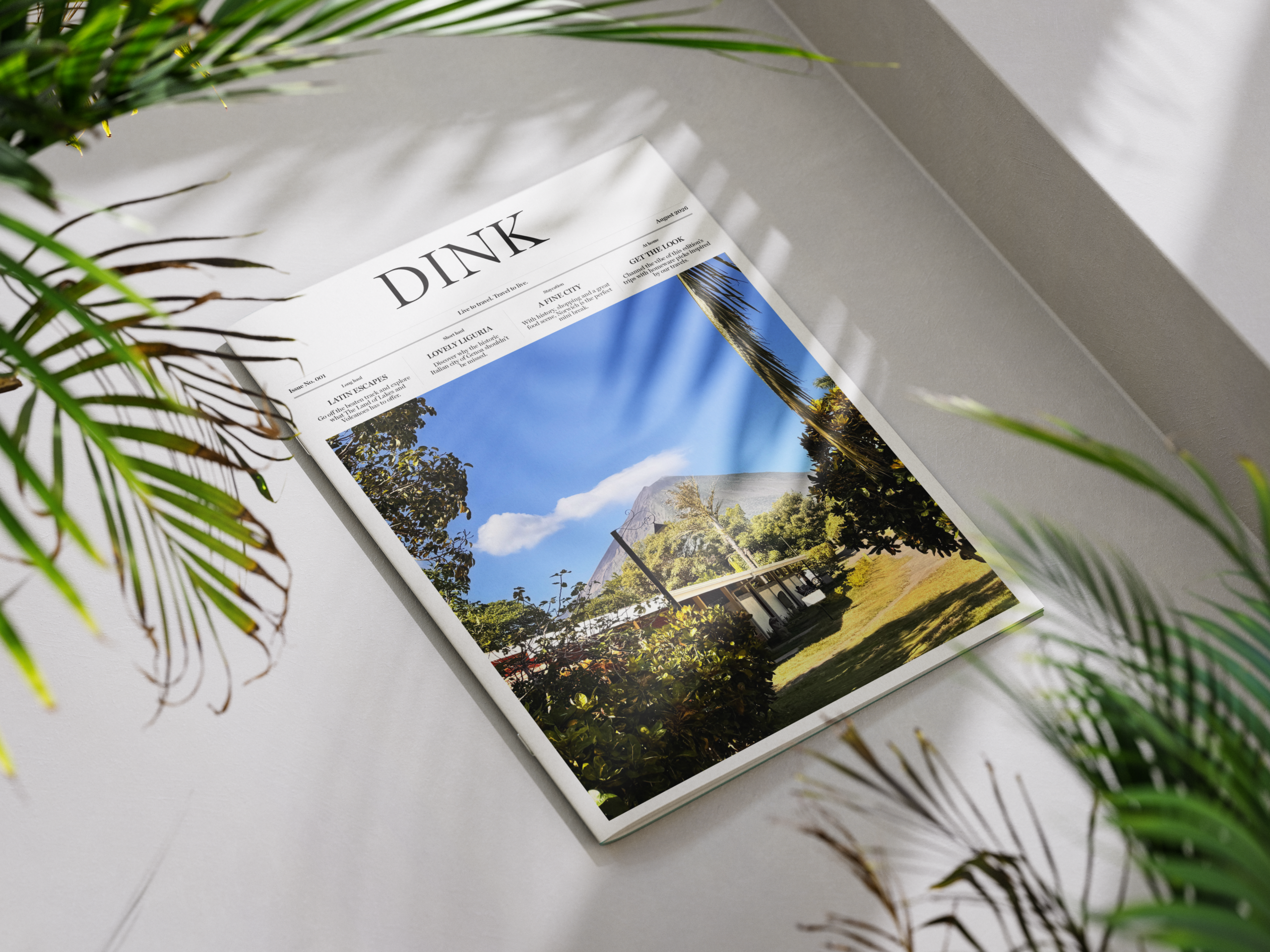 The cover of DINK magazine issue 1